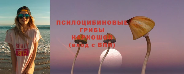 бошки Богородицк