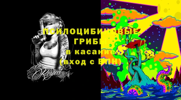 бошки Богородицк