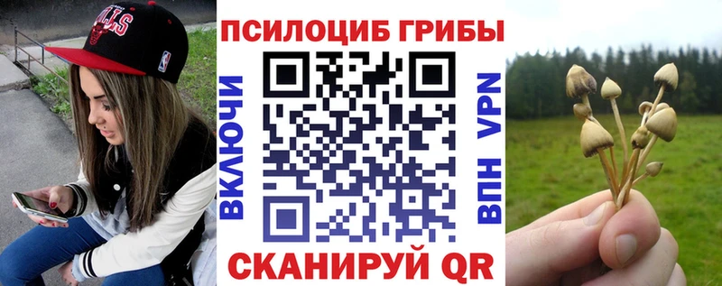 Псилоцибиновые грибы Cubensis  Михайловка 